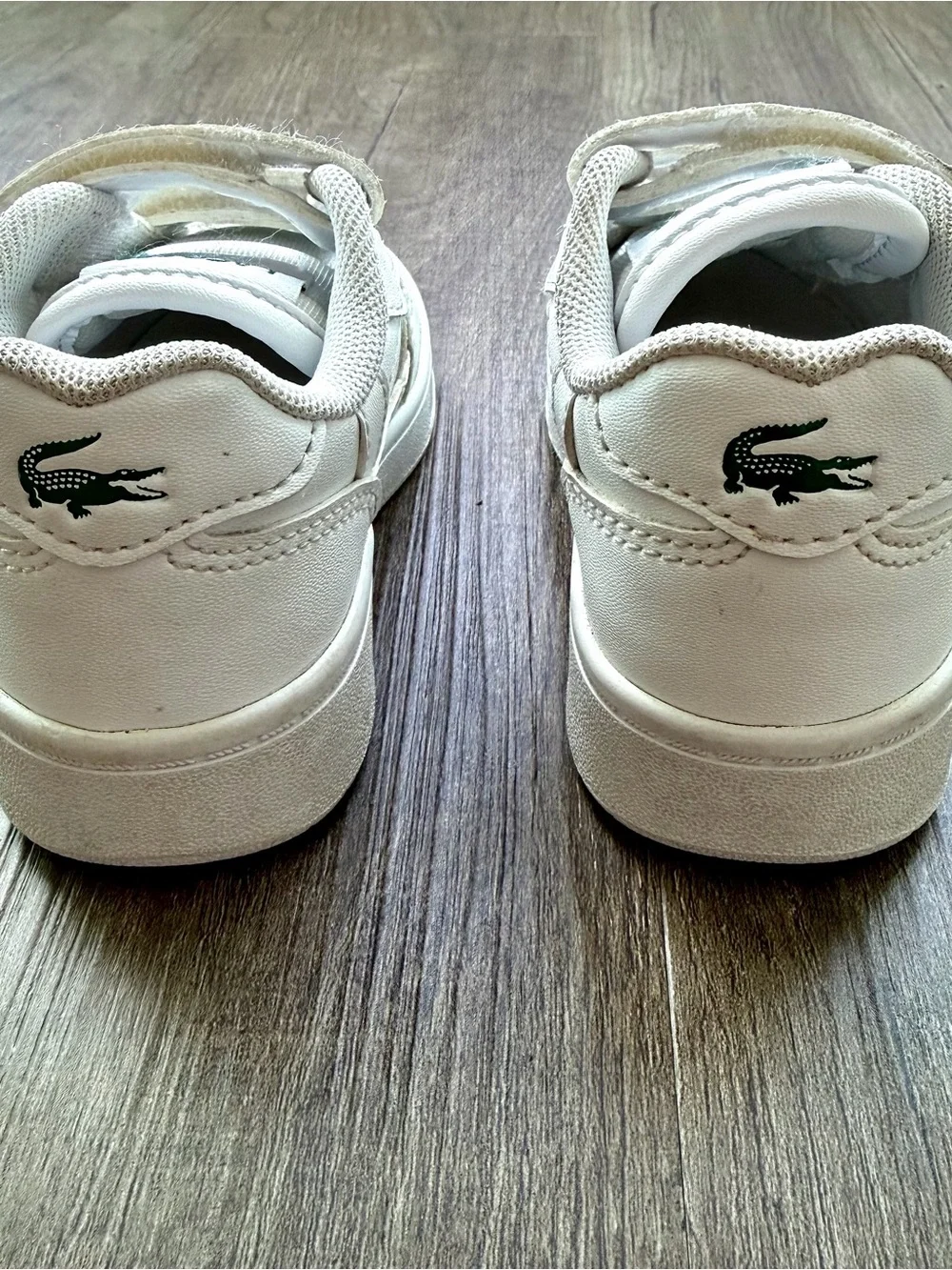 Lacoste authentic clip